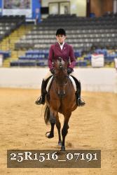 25R1516_07191 thumbnail