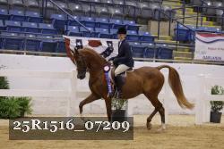 25R1516_07209 thumbnail