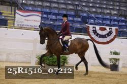 25R1516_07212 thumbnail