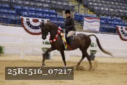 25R1516_07217 thumbnail