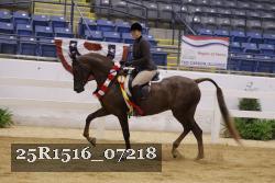 25R1516_07218 thumbnail