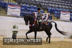 25R1516_07221 thumbnail