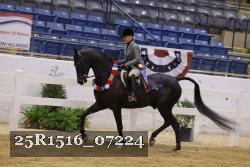 25R1516_07224 thumbnail