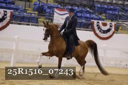 25R1516_07243 thumbnail