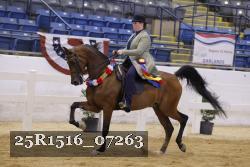 25R1516_07263 thumbnail