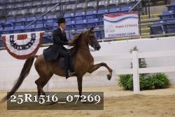 25R1516_07269 thumbnail