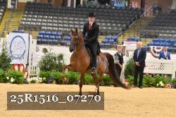 25R1516_07270 thumbnail
