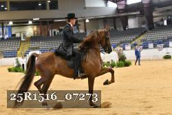 25R1516_07273 thumbnail