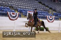 25R1516_07277 thumbnail