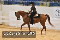25R1516_07286 thumbnail