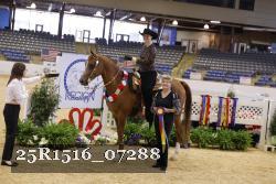 25R1516_07288 thumbnail