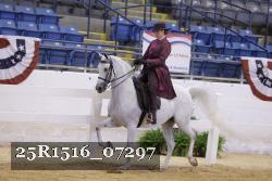 25R1516_07297 thumbnail