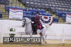 25R1516_07313 thumbnail