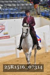 25R1516_07314 thumbnail