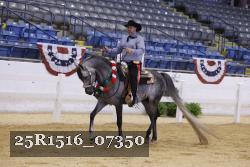 25R1516_07350 thumbnail