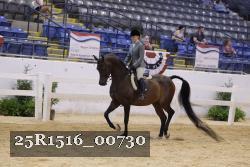 25R1516_00730 thumbnail