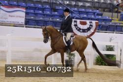 25R1516_00732 thumbnail