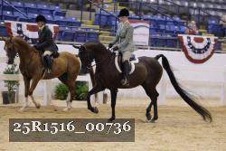 25R1516_00736 thumbnail
