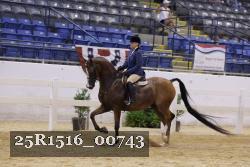 25R1516_00743 thumbnail