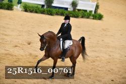 25R1516_00761 thumbnail