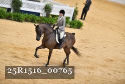 25R1516_00765 thumbnail