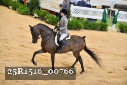 25R1516_00766 thumbnail