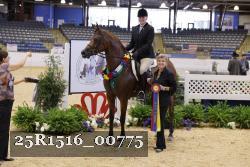 25R1516_00775 thumbnail