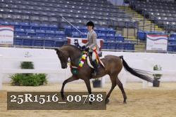 25R1516_00788 thumbnail