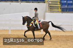 25R1516_00790 thumbnail