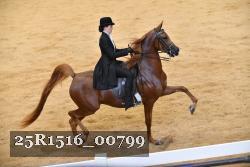 25R1516_00799 thumbnail