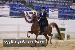 25R1516_00800 thumbnail