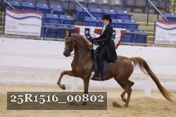 25R1516_00802 thumbnail