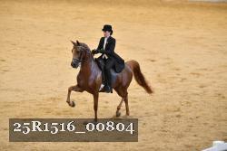 25R1516_00804 thumbnail