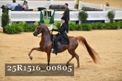 25R1516_00805 thumbnail