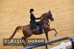 25R1516_00808 thumbnail