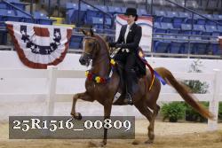25R1516_00809 thumbnail