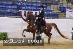 25R1516_00810 thumbnail