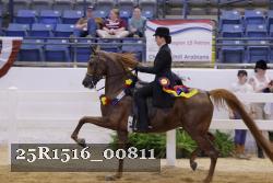 25R1516_00811 thumbnail