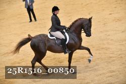 25R1516_00850 thumbnail