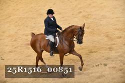 25R1516_00851 thumbnail