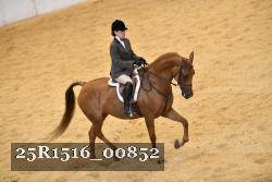 25R1516_00852 thumbnail