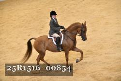 25R1516_00854 thumbnail