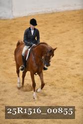 25R1516_00855 thumbnail