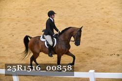 25R1516_00858 thumbnail