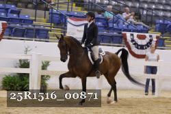 25R1516_00871 thumbnail