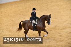 25R1516_00872 thumbnail