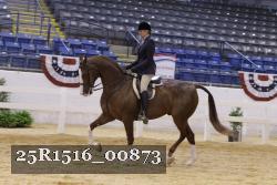25R1516_00873 thumbnail