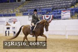 25R1516_00875 thumbnail