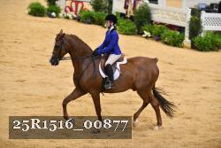 25R1516_00877 thumbnail