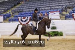 25R1516_00879 thumbnail